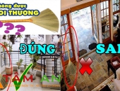 ĐẶT CHỔI SAO CHO PHÙ HỢP VỚI PHONG THỦY